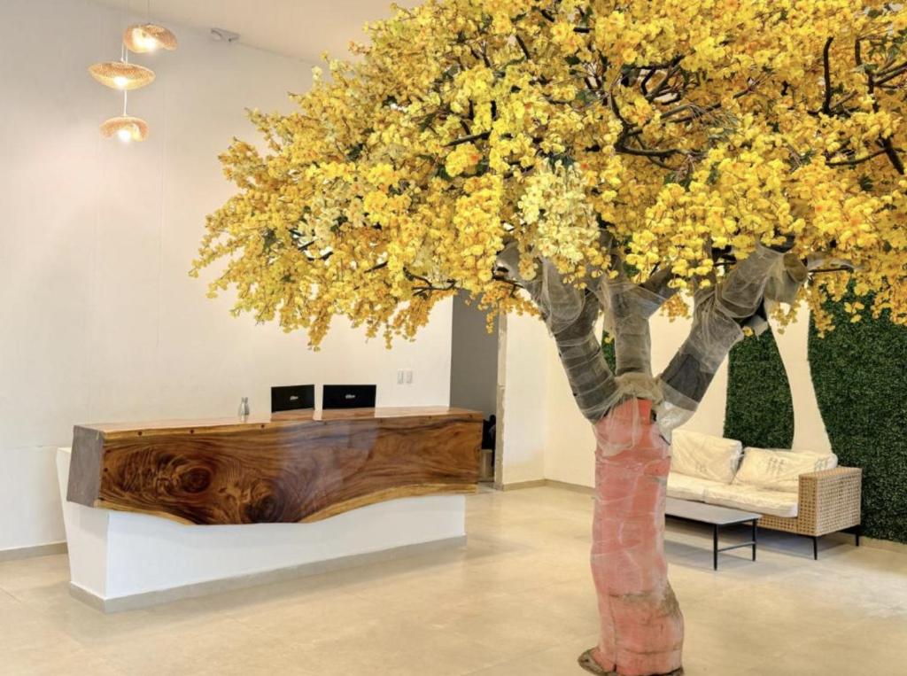 Hermoso Apartasuite para estrenar Sky Tower-Rodadero - 5