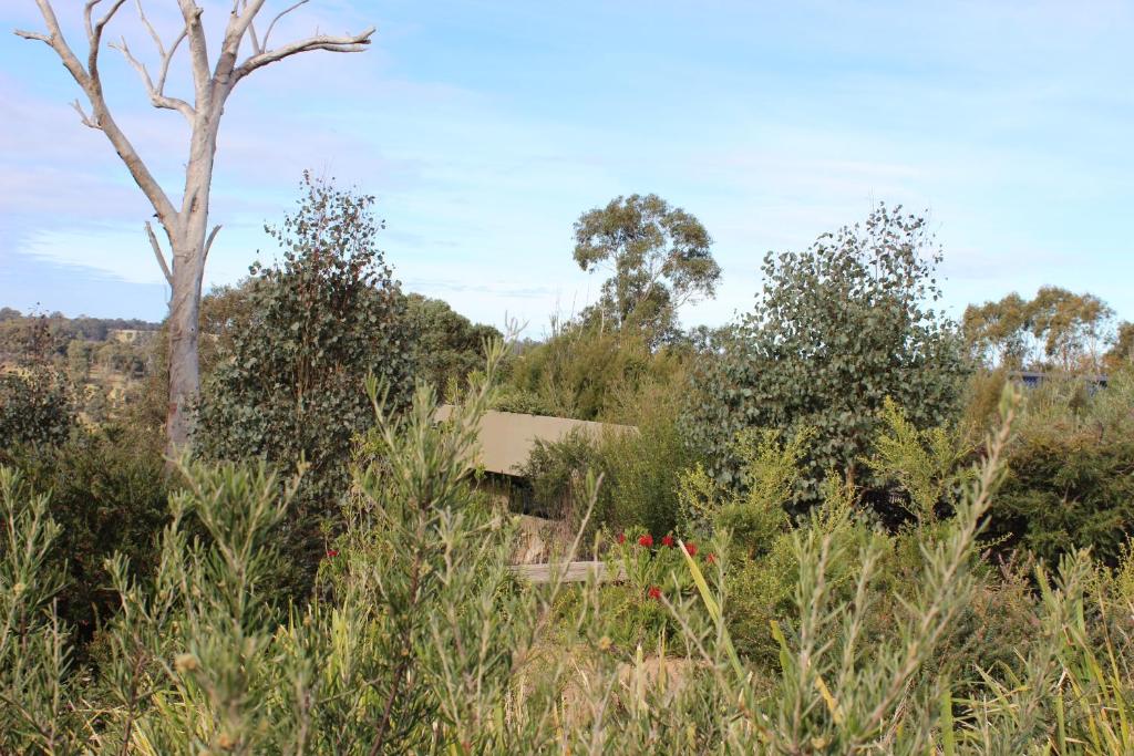 Down to Earth Farm Retreat photo