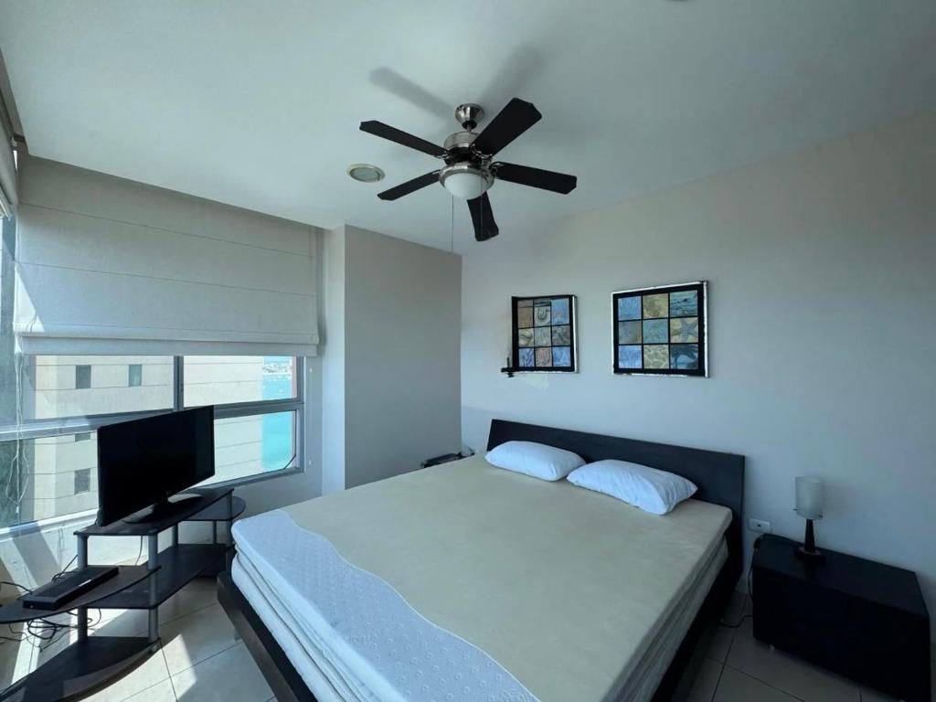 salinas departamento - 5