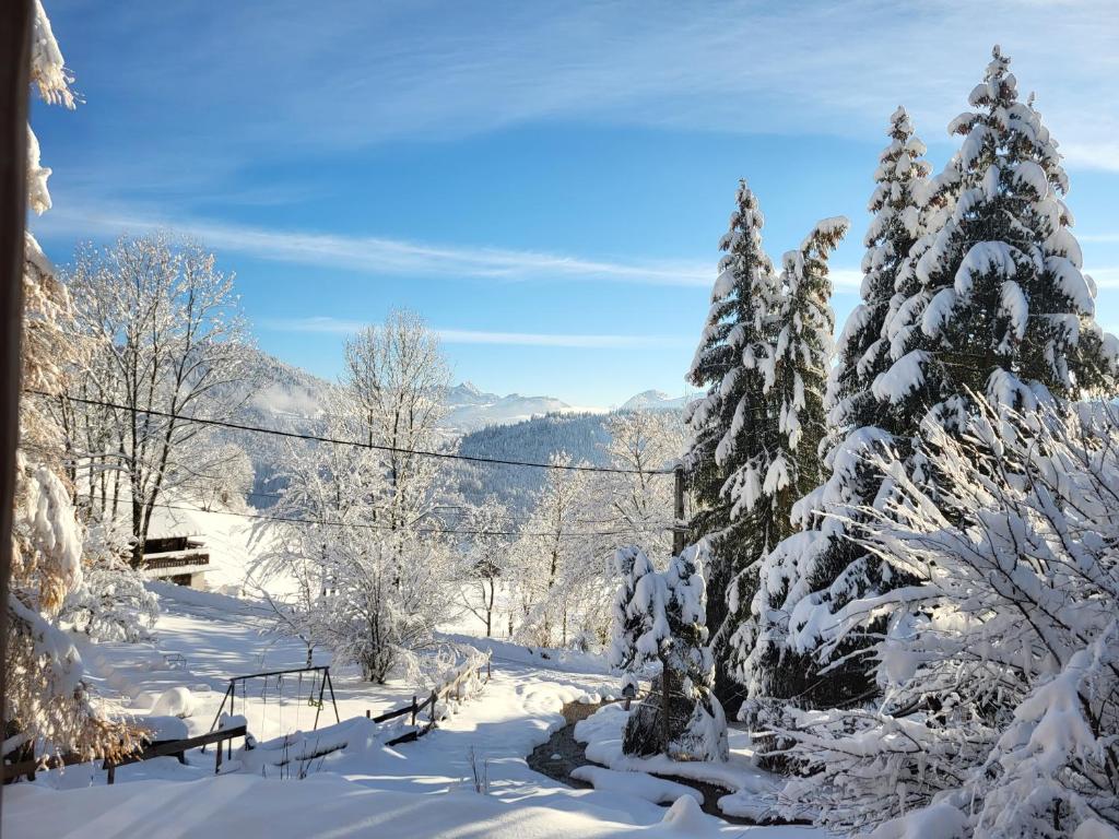 Chalet Chamois & Spa - 3