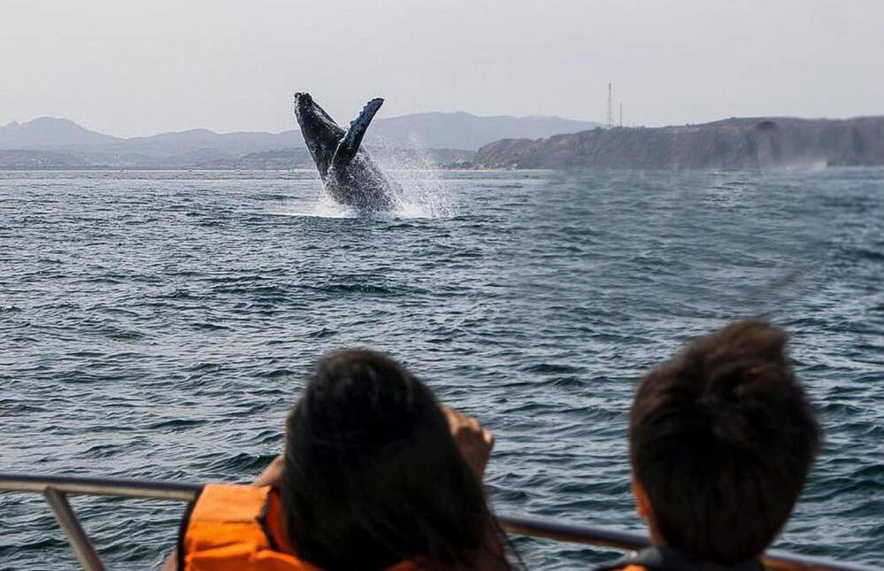 Casa de playa en los Organos, Peru - 5