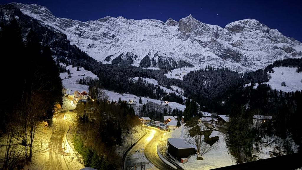 Chalet Engelberg Mountain View - 4