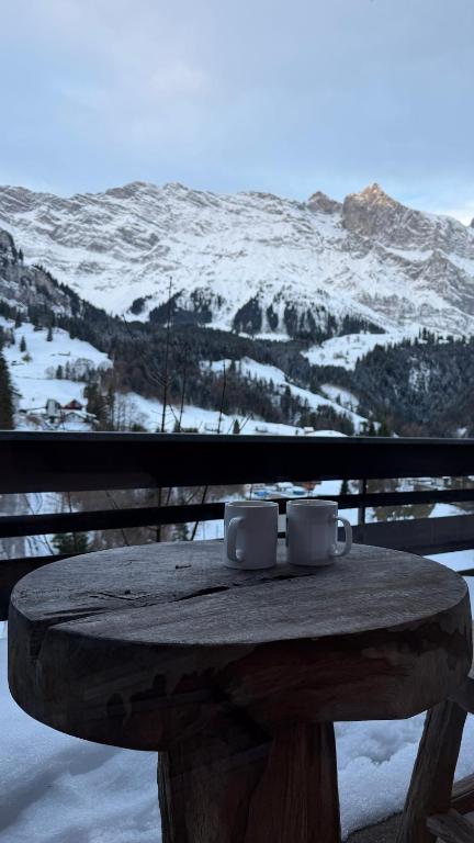 Chalet Engelberg Mountain View - 2