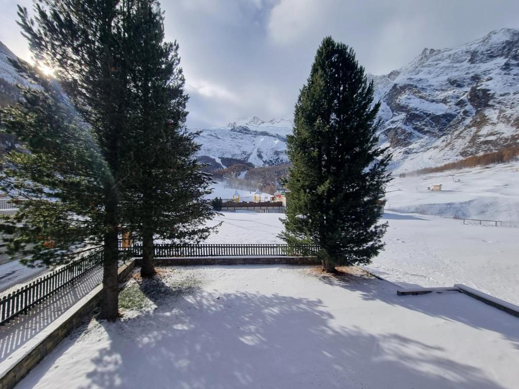 Rio ski-in, ski-out - 5