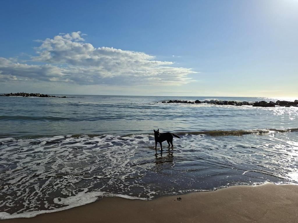 Your best oceanfront rest - 5