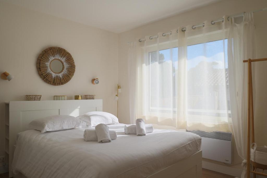 T2, 50 m beach, balcony with sea view - 3