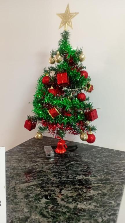 Patricia, hermoso 2 amb, cerca de la playa y del casino central de mar del plata - 4