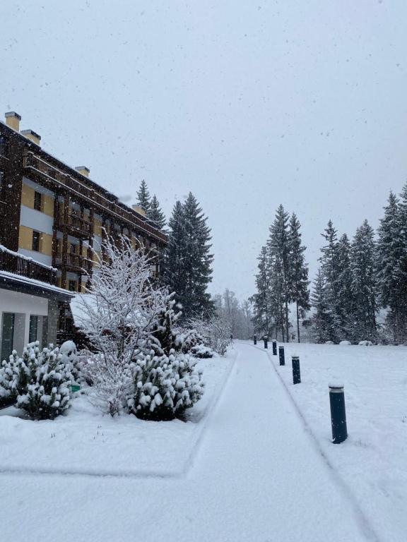 Maison Poluc - Suite Alpine - 2