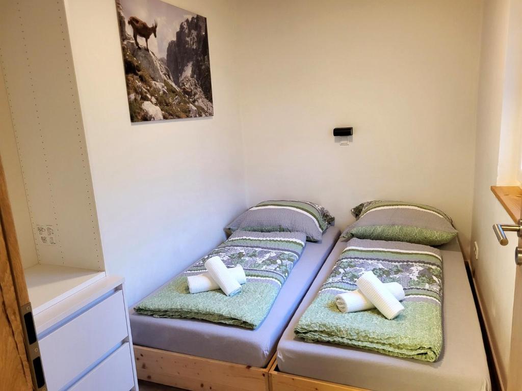 Nature Fun Apartments - Nahe Pressegger See - Skibus zum Nassfeld - Familien & Hunde willkommen - 4