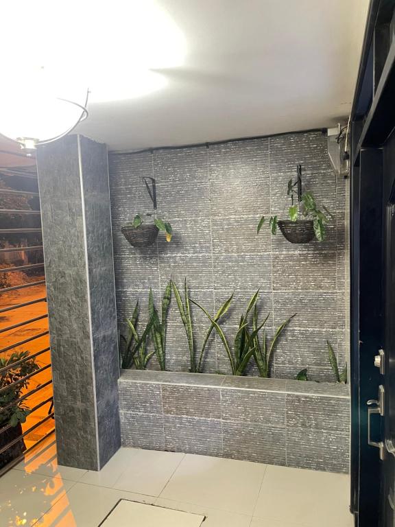 Apartamentos Ruiz - Apto 01 - 5