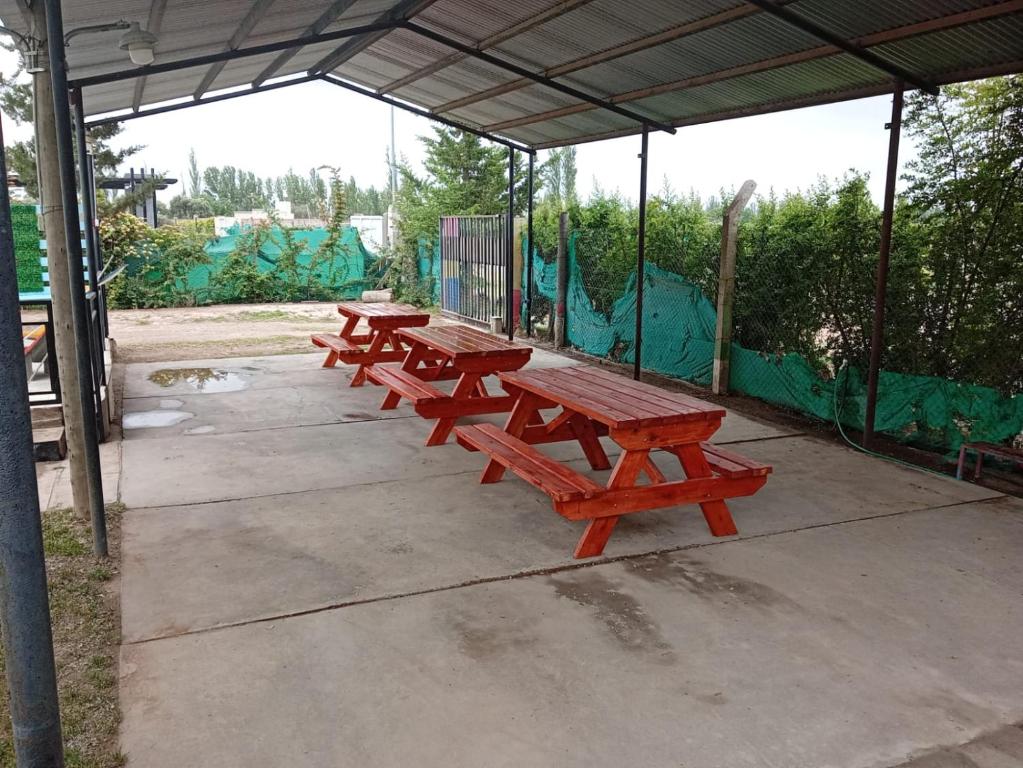 Hospedaje Fenix - 5