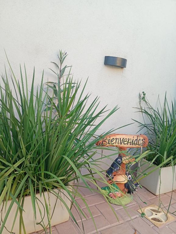 Brisas Iguazú II - 3