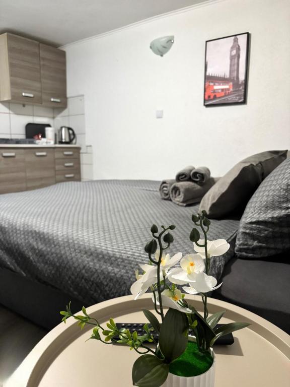 Borak Relax apartments - 5