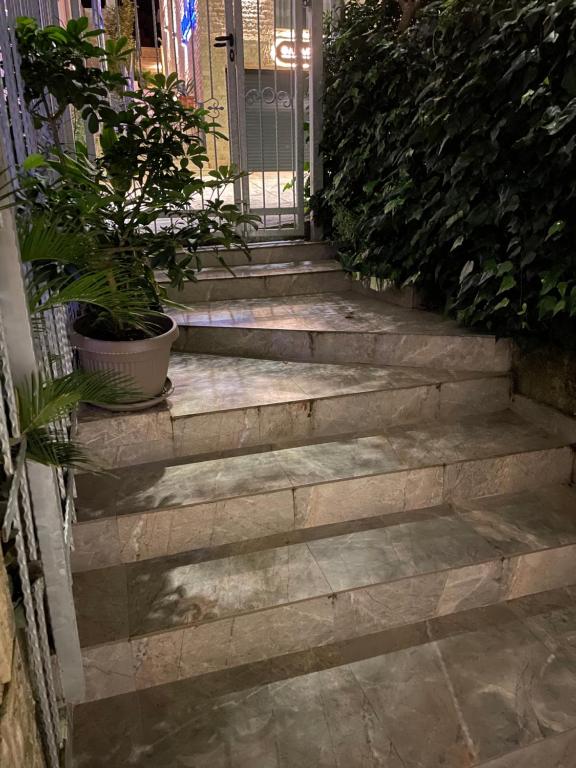 Apartments Revea - 4