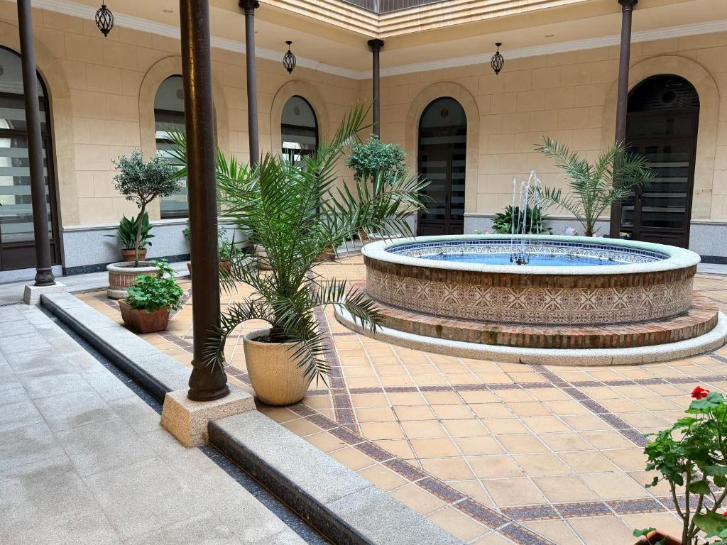 Domus Altiora Centro - 2