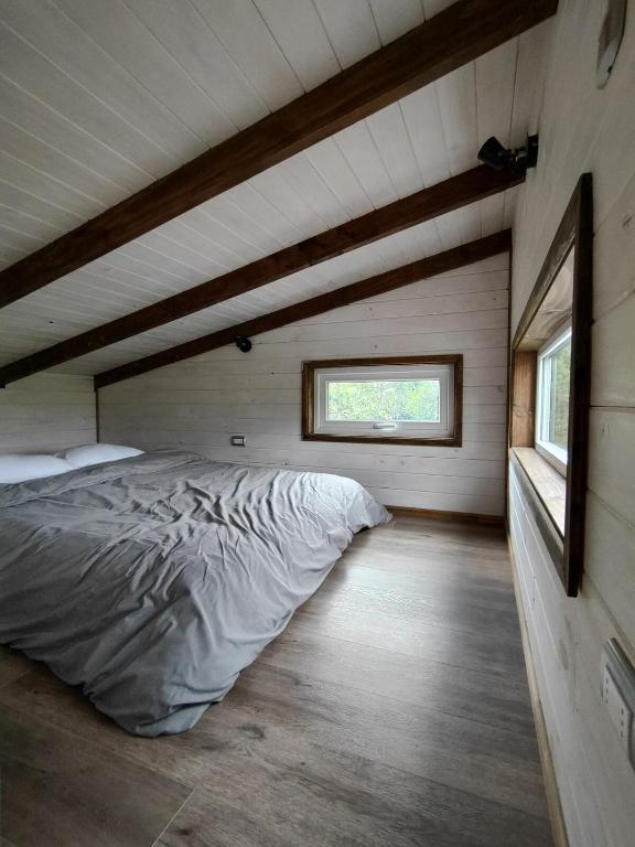 Tiny House rodeada de bosque nativo - 2
