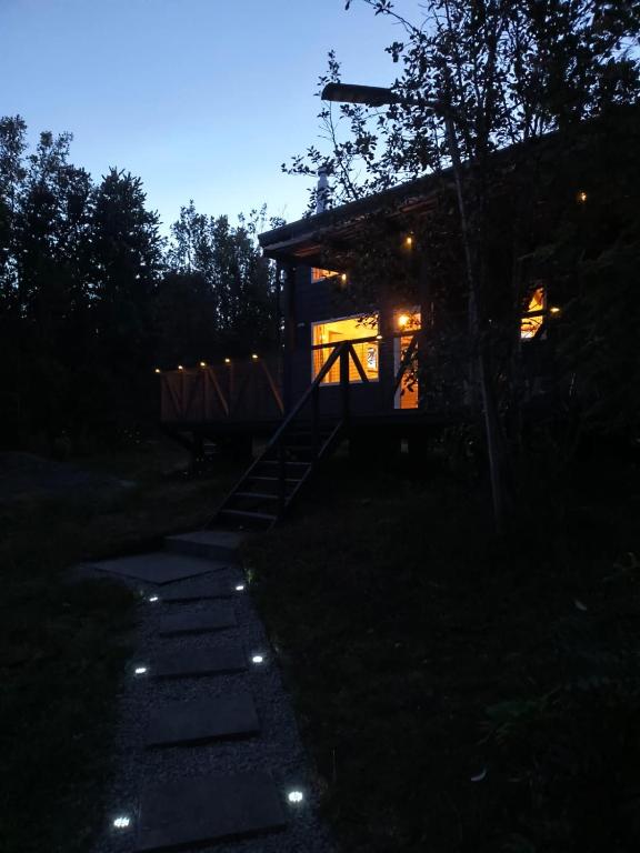 Tiny House rodeada de bosque nativo - 5