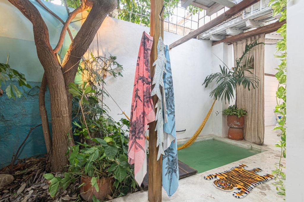 Casa Azul Tropical House by Xarm Apartments - 2