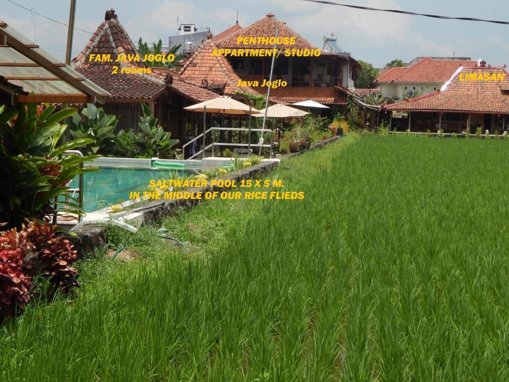 スイミングプール