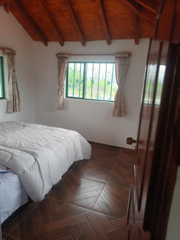 Casa el pedregal de la villa - 4