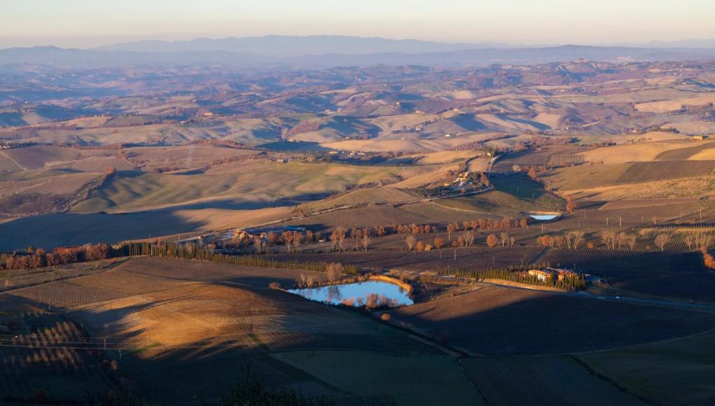 CORNER NEST IN MONTALCINO - 3
