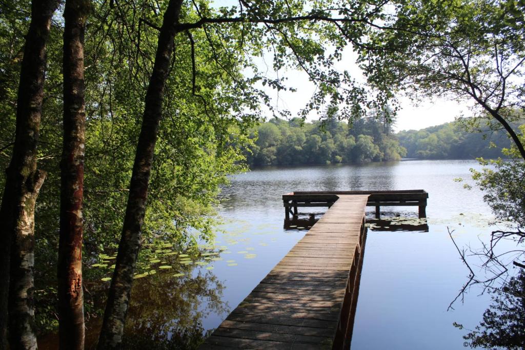 アクティビティ