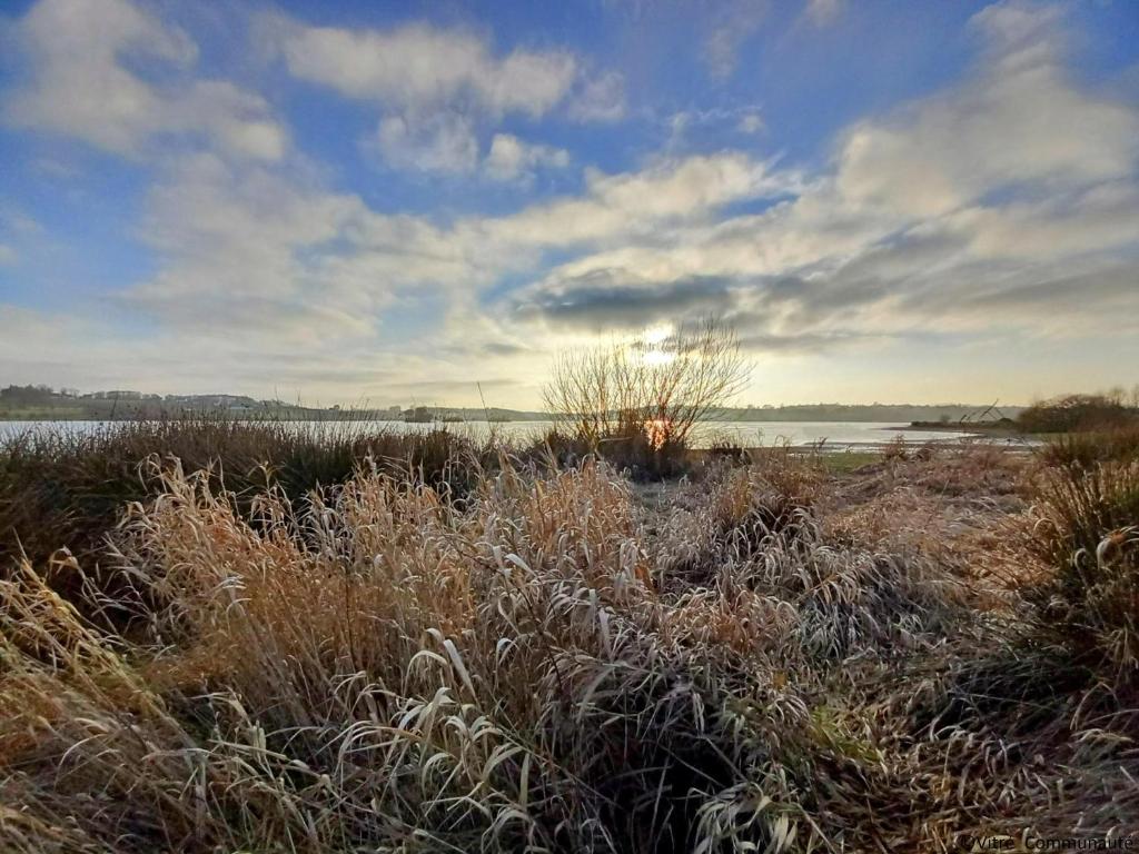 アクティビティ