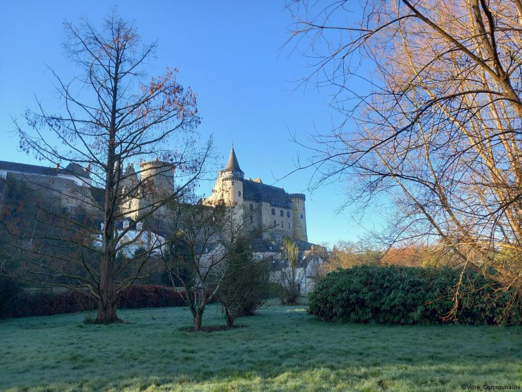 アクティビティ