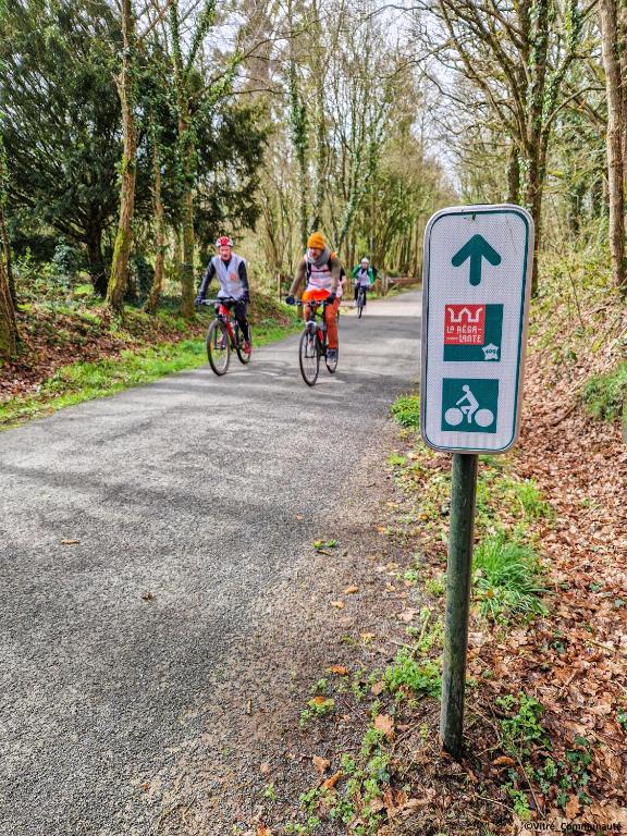 アクティビティ