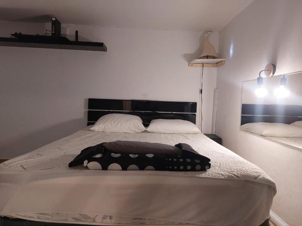 AJACCIO GRAND STUDIO CLIMATISÉ LOFT SPA VUE MER ET MONTAGNE 5 p - 2