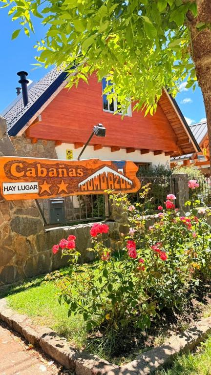 Cabañas y Departamentos Humo Azul - 1