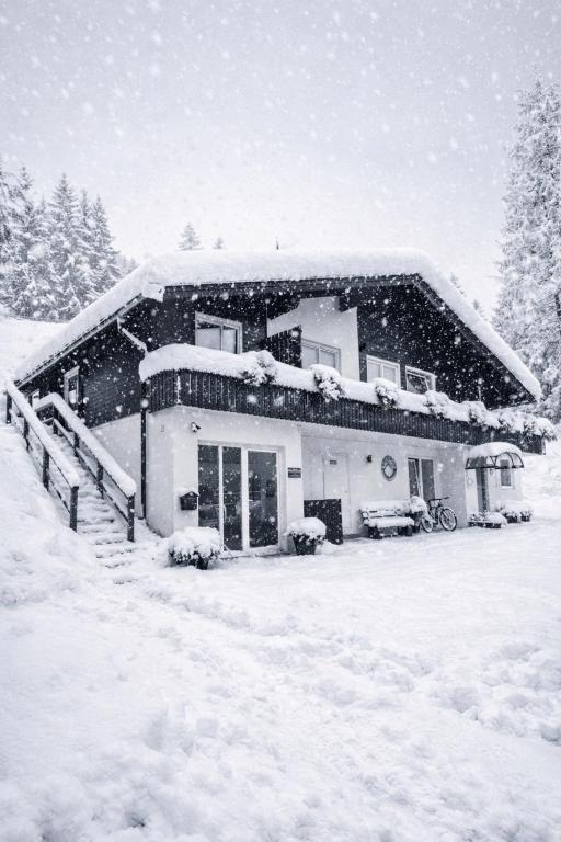 WALDVILLA Bad Kleinkirchheim - 1