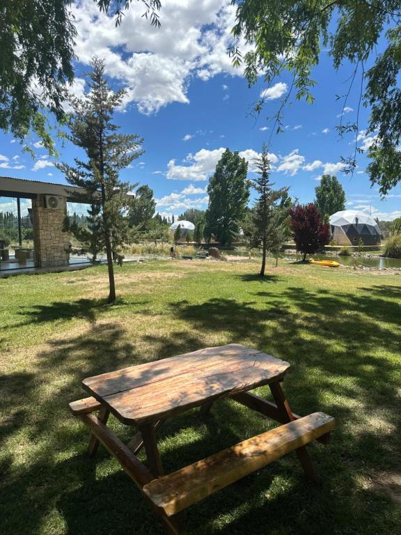 Los Cardos Lodge & Glamping - 4