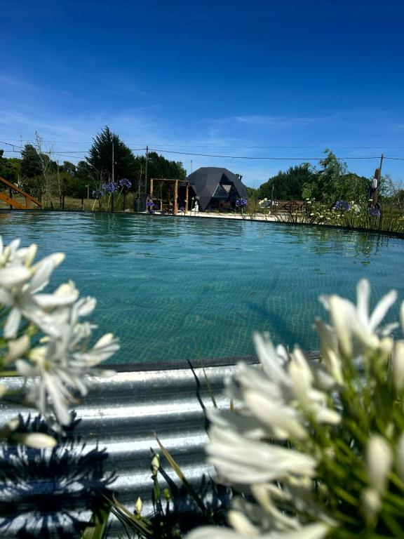 Domo Buda - Experiencia Glamping en Mar de Ajó - 5