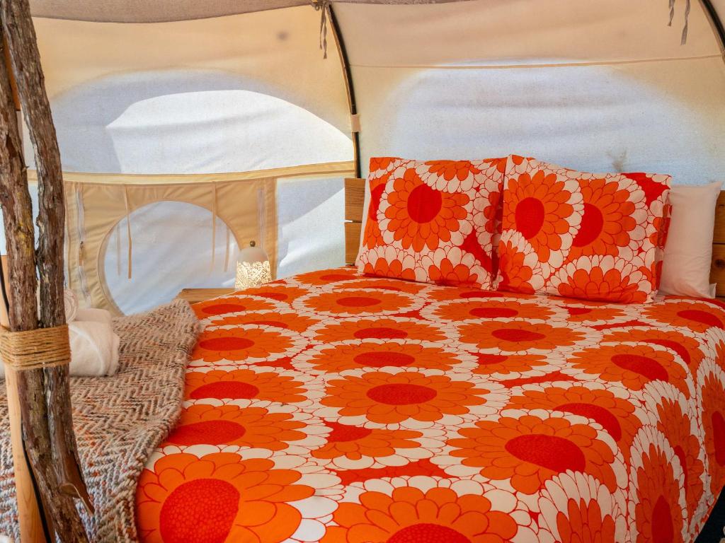 La Colmena Glamping Zangano - 4