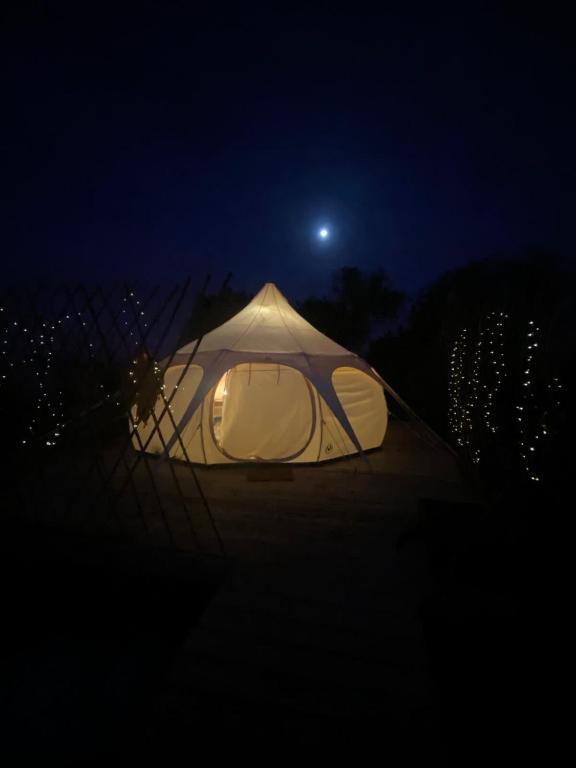 La Colmena Glamping Reina - 5