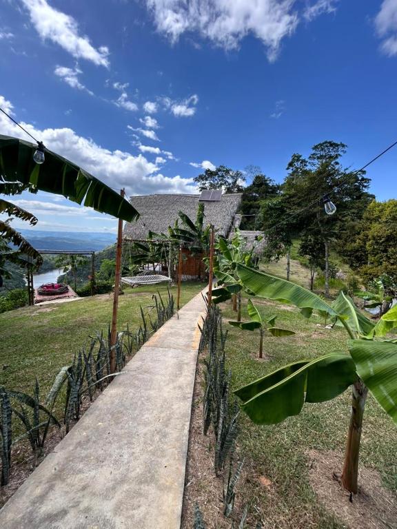 Renaco Glamping - 3
