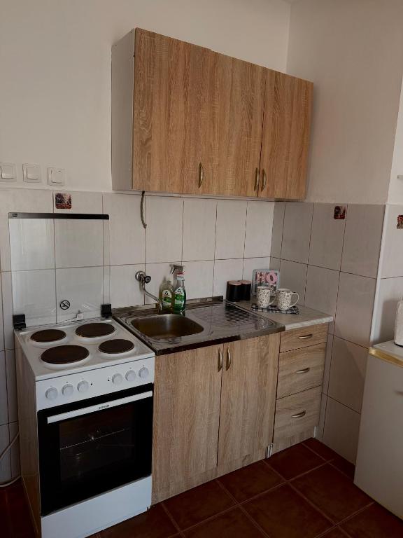 ApartmanPodgorica - 4