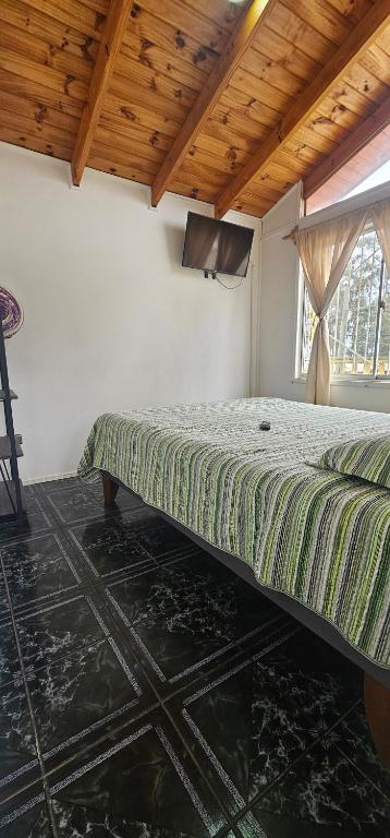 Cabaña pet friendly el quisco - 3