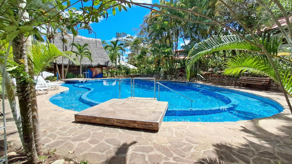 El Nido del Colibrí - 3