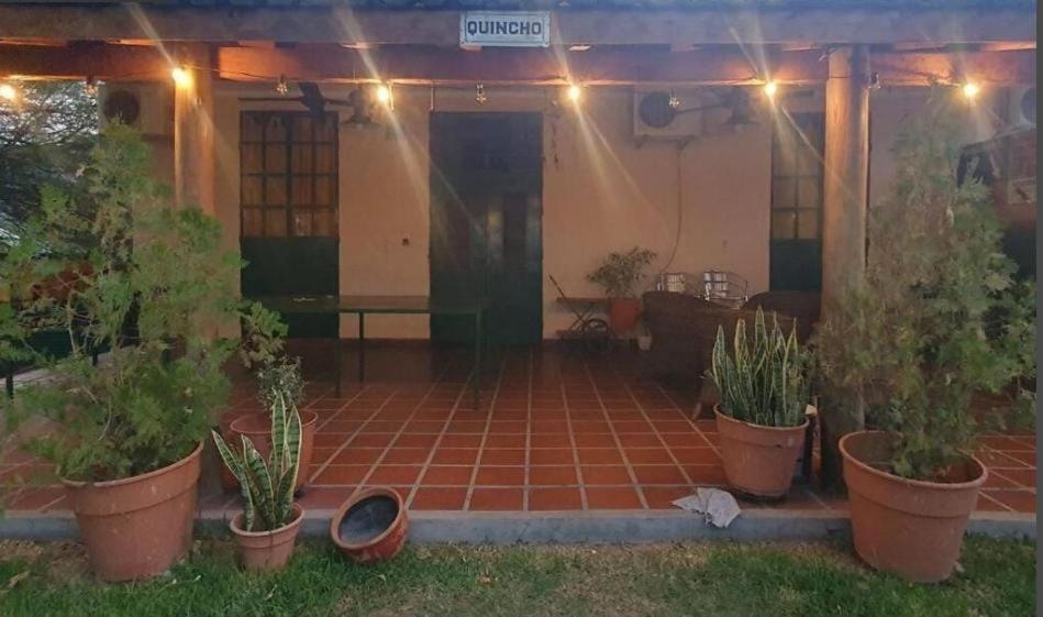Mi quincho 02 - 5