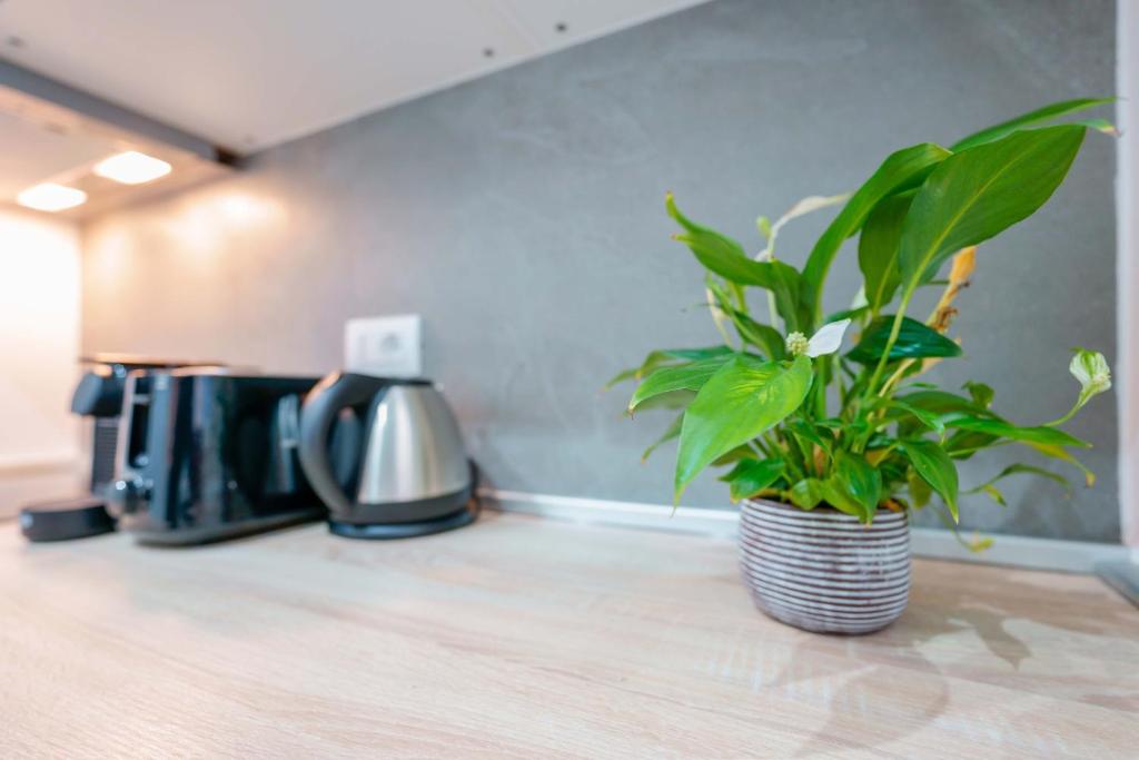 Levante Collection by Lesdomus - Appartamento Strategico Ospedale Sant'Orsola - 4