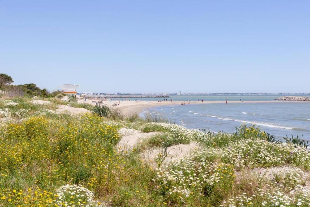 Chez Marie - Bel appartement en centre ville et front de mer - 2