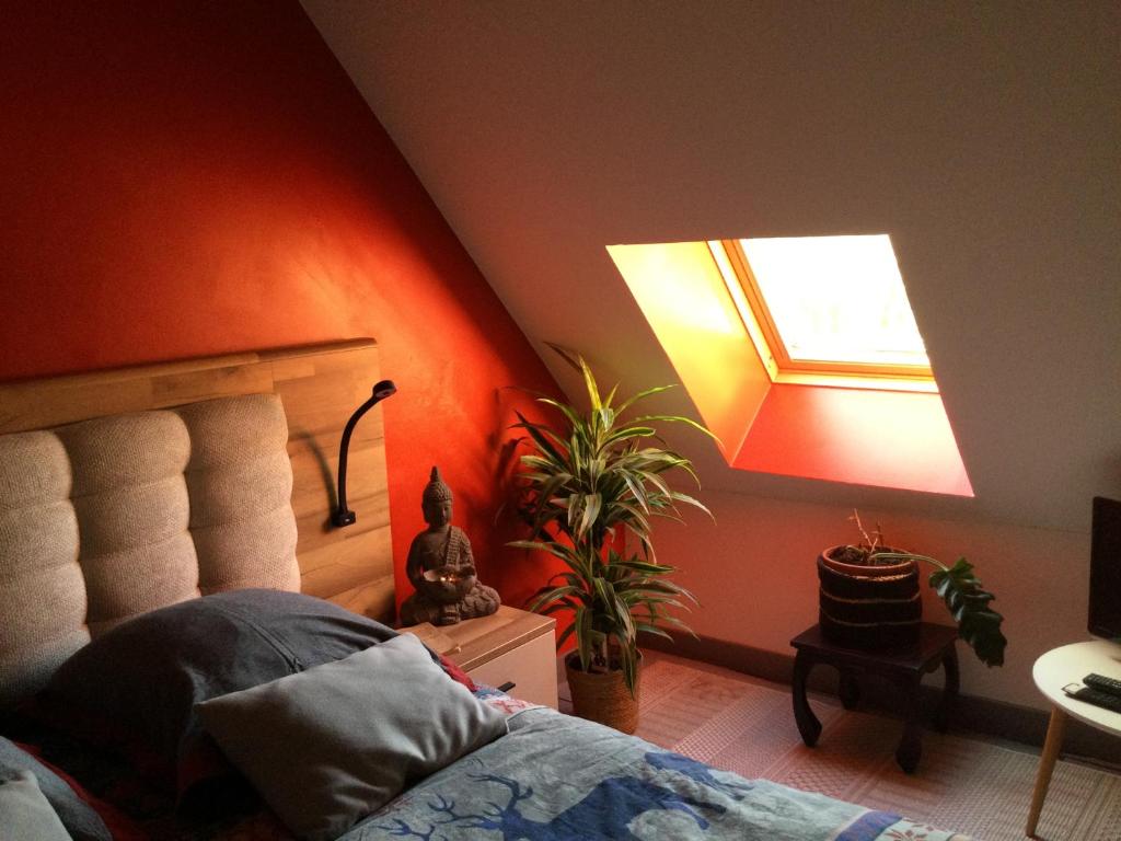 Le petit secret au pied du zoo - 3