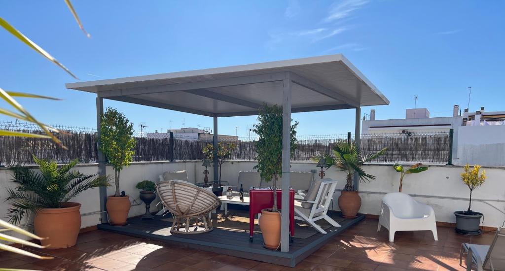 La Terraza de Porvenir 10 - Jerez de la Frontera - 3