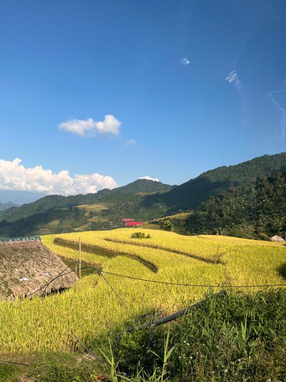 Plateau Homestay – Tours & Motorbikes Rental