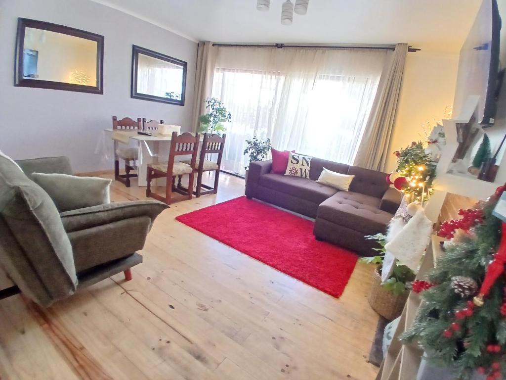 El Retorno a Viña - 5