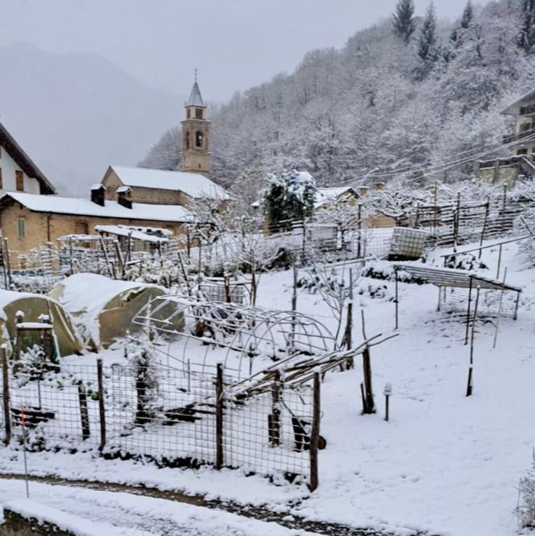 Carmen2 - 1