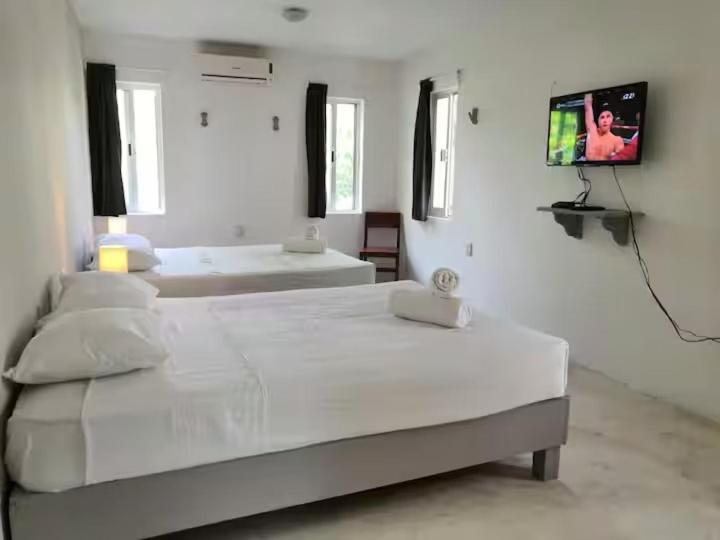Apartment & Studio 28 - 4