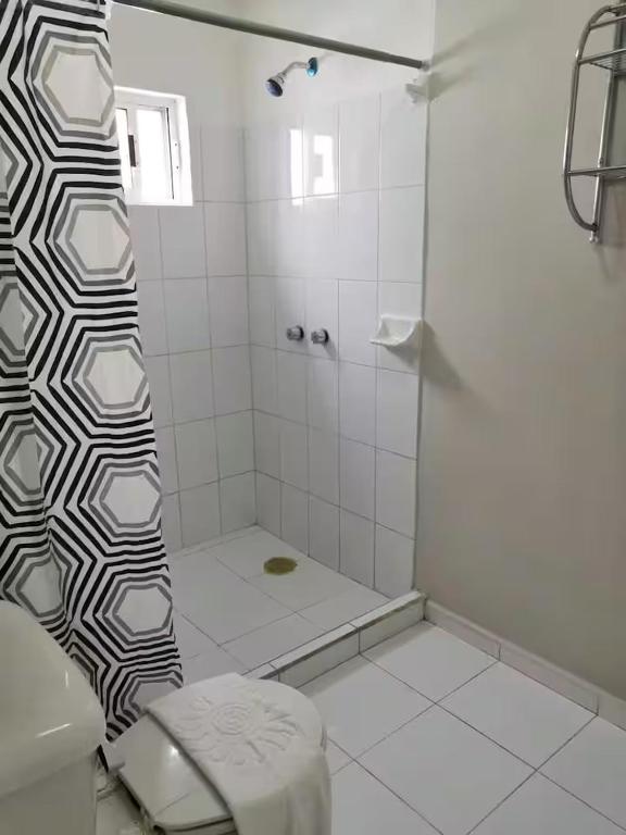 Apartment & Studio 28 - 5